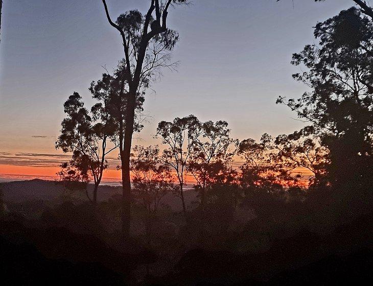 Tamborine Mountain, Queensland