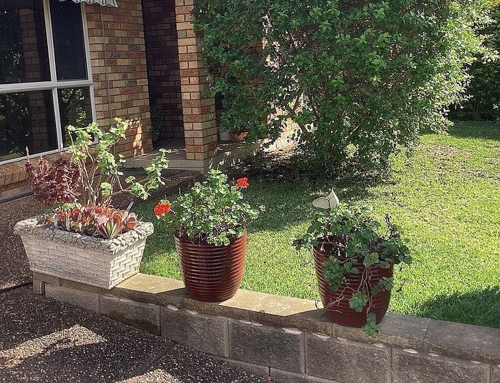 Thornton, New South Wales - Image 1
