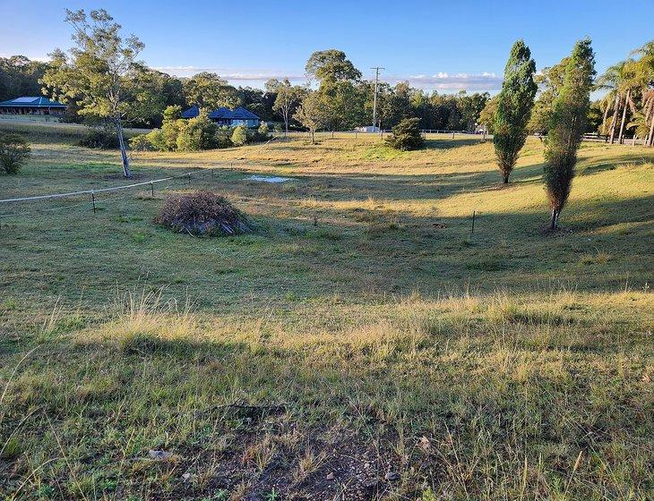 Duns Creek, New South Wales