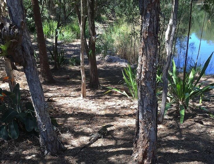 Currimundi, Queensland