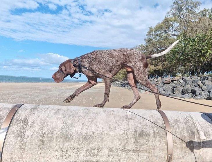 Urangan, Queensland