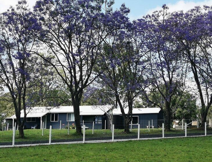 Ellenborough, New South Wales - Image 3