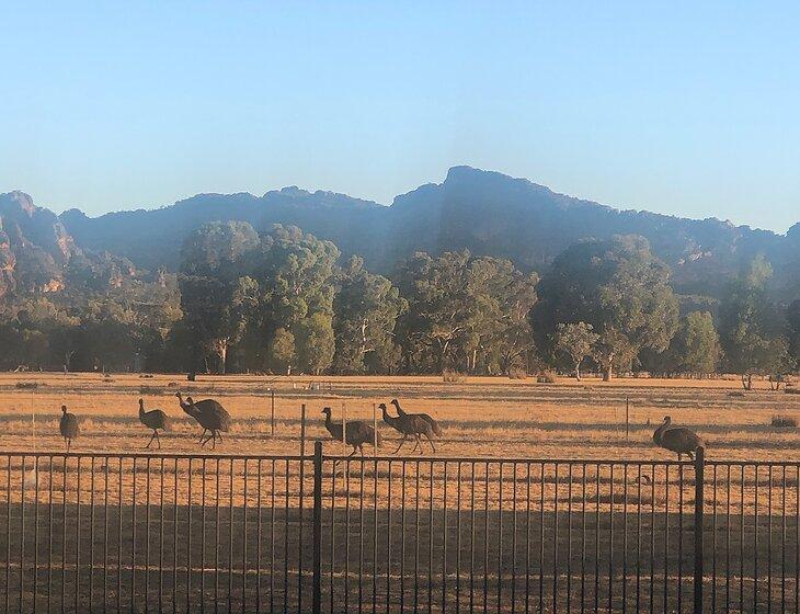 Laharum, Victoria