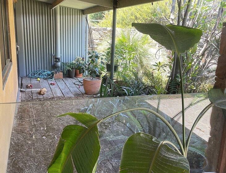 Wamboin, New South Wales - Image 5
