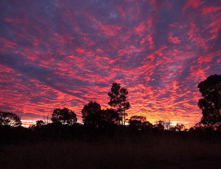 Hookswood, Queensland