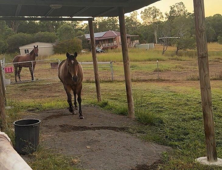 Cedarvale, Queensland - Image 4