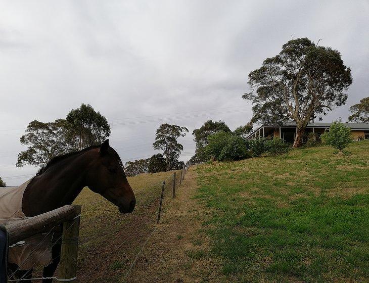 Wistow, South Australia