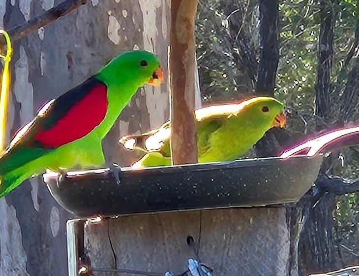 Rosedale, Queensland - Image 4