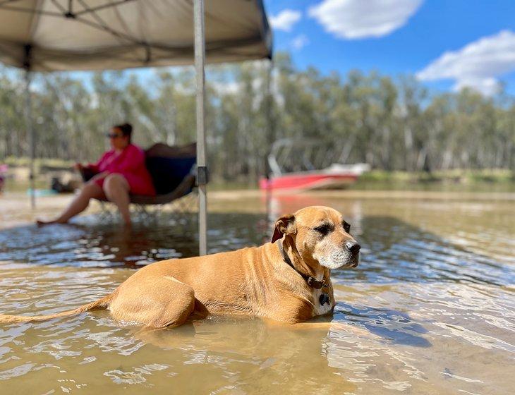 Diamond Creek, Victoria