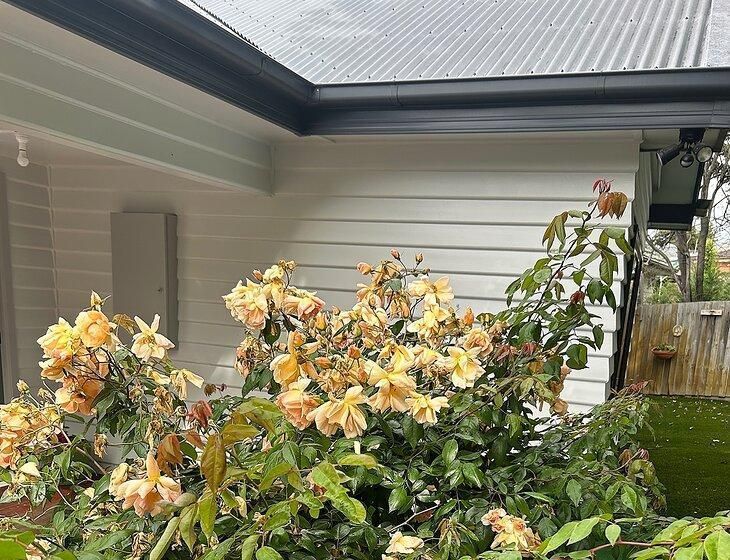 Nunawading, Victoria - Image 3