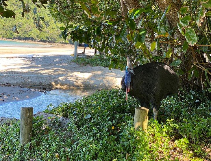 Camp Creek, Queensland