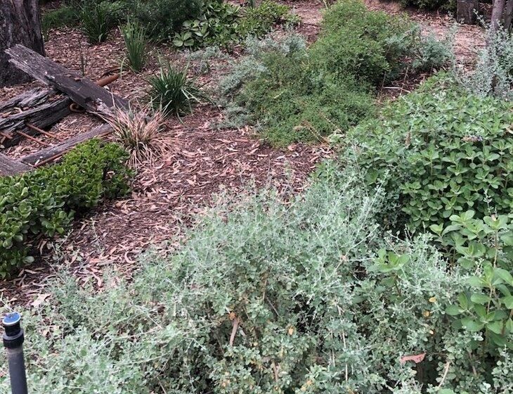 Moama, New South Wales - Image 3