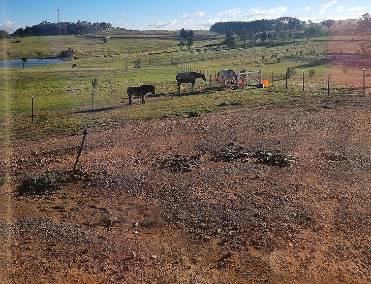 Tarago, New South Wales