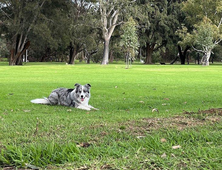 Maylands, Western Australia