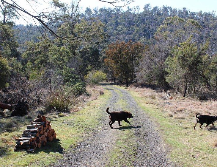 Dilston, Tasmania