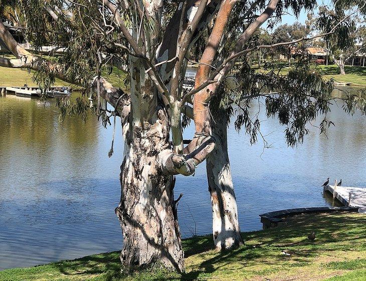 Renmark, South Australia