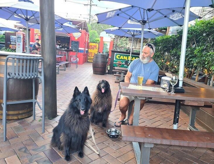 Palmwoods, Queensland - Image 4