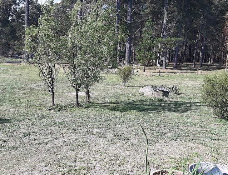 Stanthorpe, Queensland - Image 3