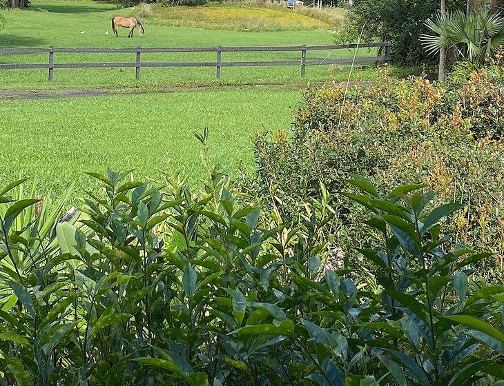 Ninderry, Queensland