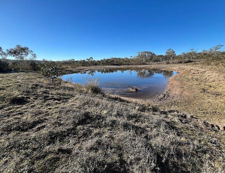 Mount Fairy, New South Wales - Image 3