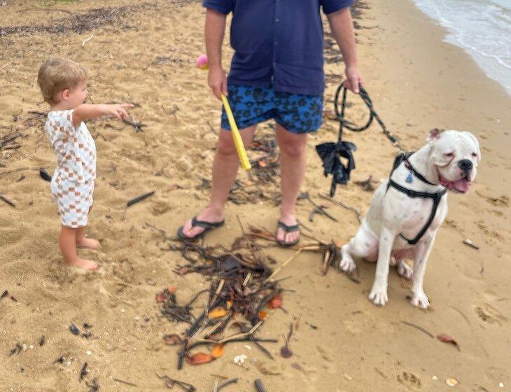 Hervey Bay, Queensland