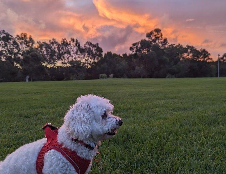 Claremont, Western Australia