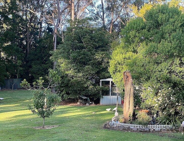Medowie, New South Wales - Image 3