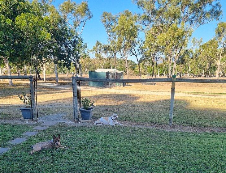 Oak Valley, Queensland