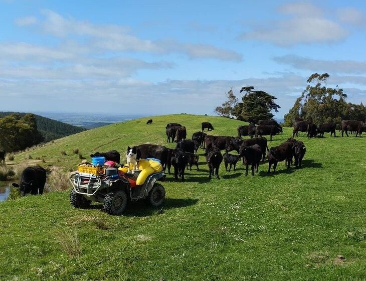 Gippsland, Victoria - Image 1