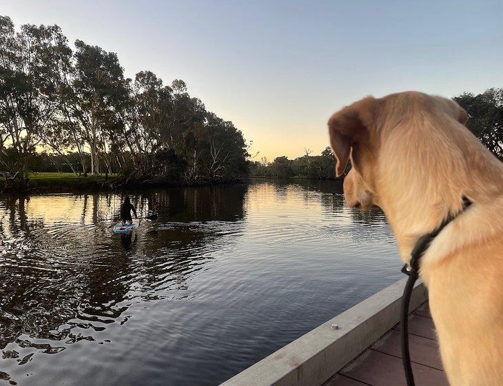 Guildford, Western Australia