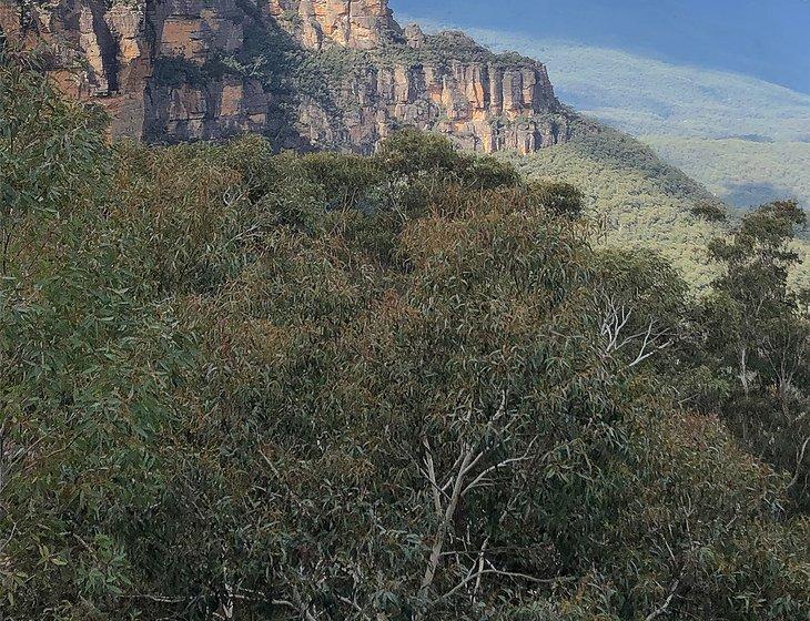 Wentworth Falls, New South Wales