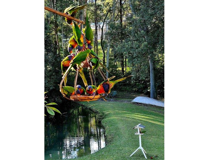 Boambee, New South Wales