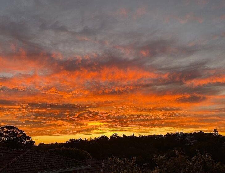 Bardwell Valley, New South Wales - Image 7