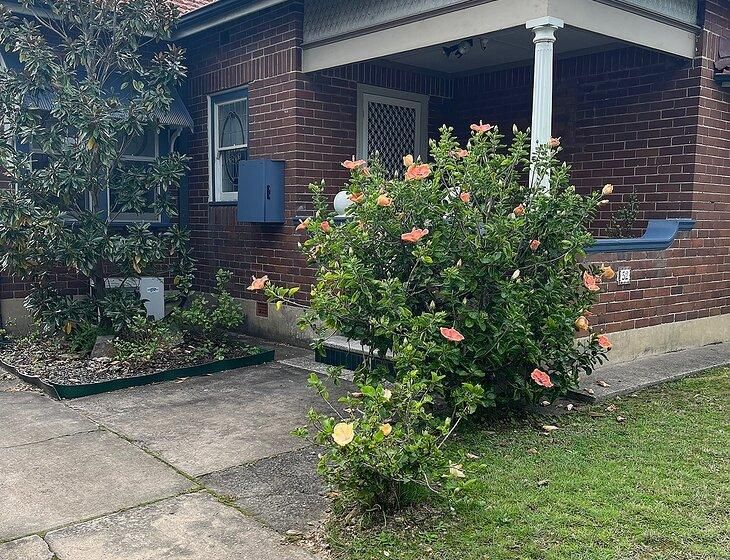Hamilton East, New South Wales