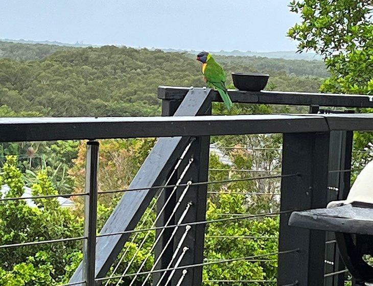 Cumbalum, New South Wales