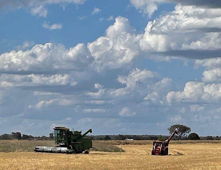 Pittsworth, Queensland