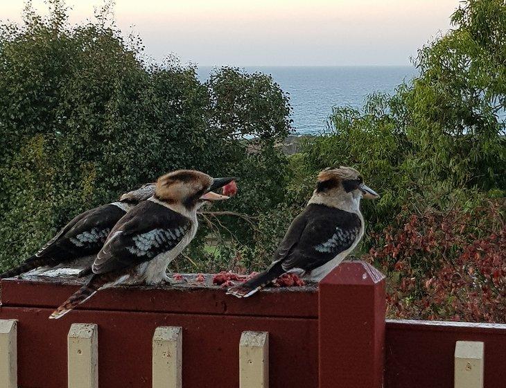 Lakes Entrance, Victoria