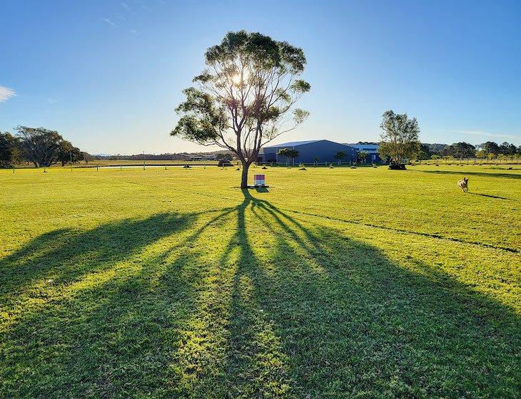 Oxley Island, New South Wales