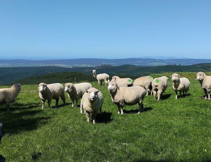 Gippsland, Victoria - Image 2