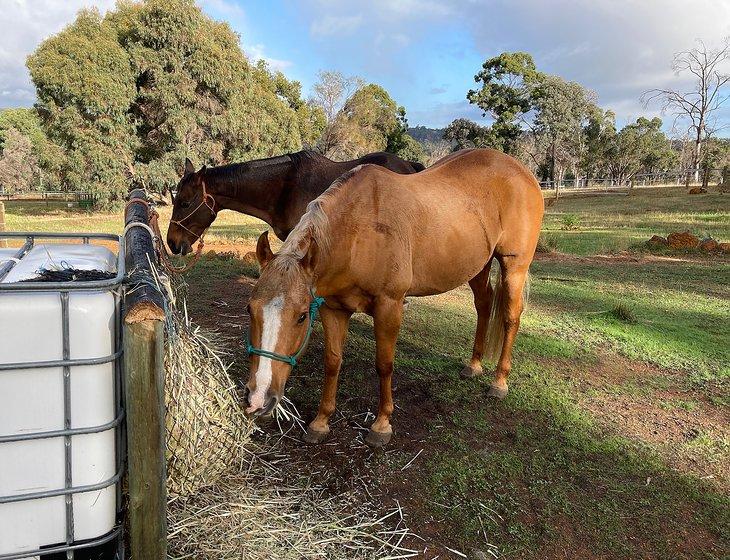 Gidgegannup, Western Australia