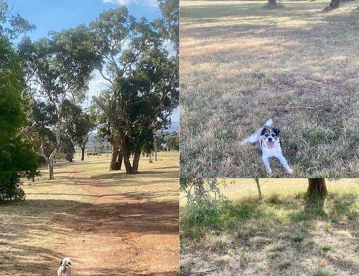 Canberra, Australian Capital Territory