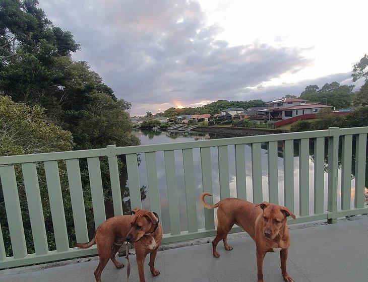 Tallebudgera, Queensland