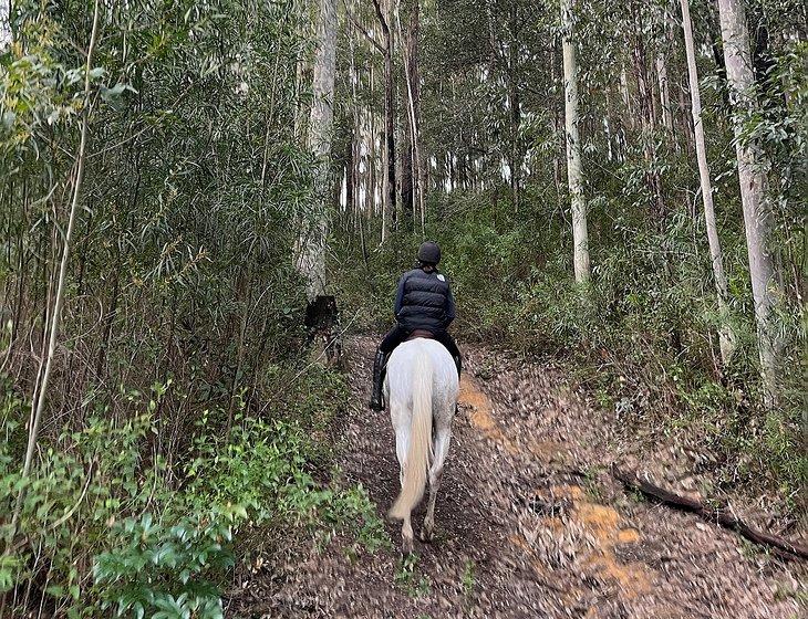 Woodburn, New South Wales