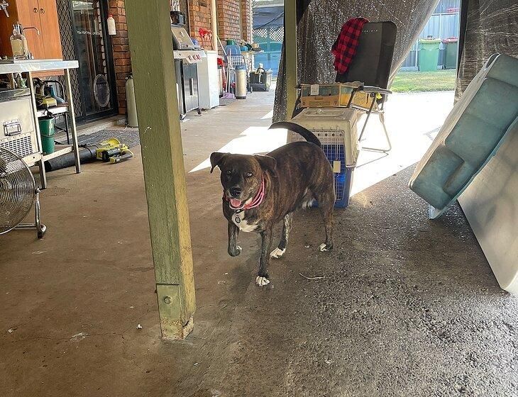 Redbank, Queensland