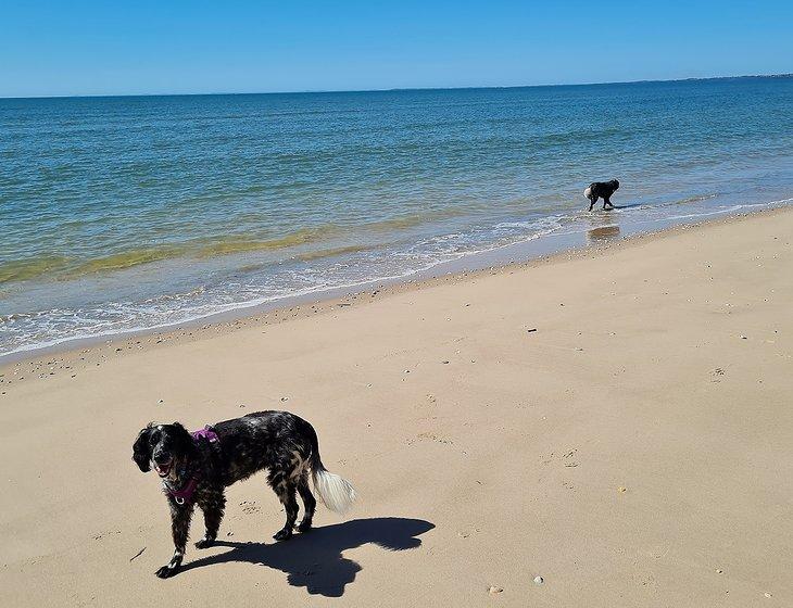 Burrum Heads (qld), Queensland