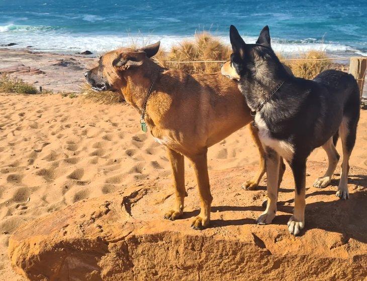 Yanchep, Western Australia