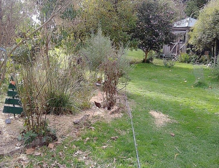 Smithton, Tasmania - Image 5