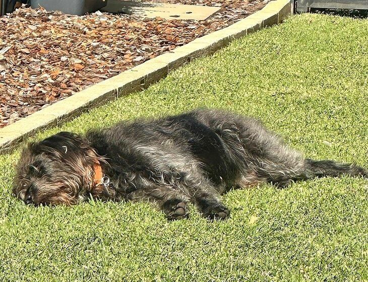 Dalyellup, Western Australia - Image 1