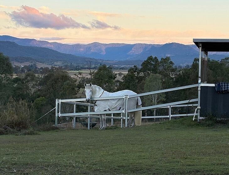 Tabooba, Queensland - Image 3