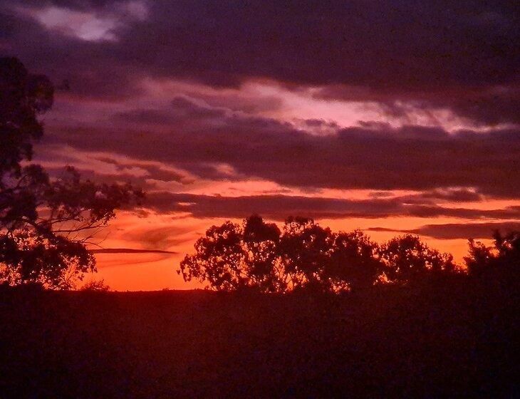 Crowther, New South Wales - Image 4